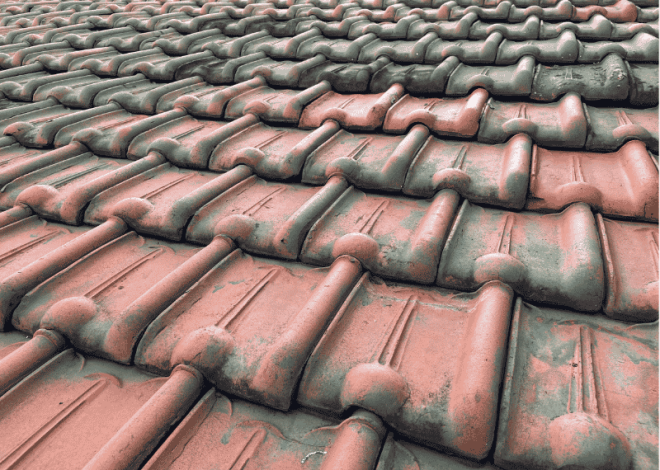 Cara Membandingkan Harga Genteng Multiroof agar Tidak Salah Pilih