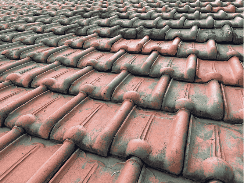 Cara Membandingkan Harga Genteng Multiroof agar Tidak Salah Pilih