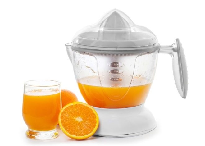 Juice Extractor Santos Teknologi Pemeras Modern untuk Usaha Minuman