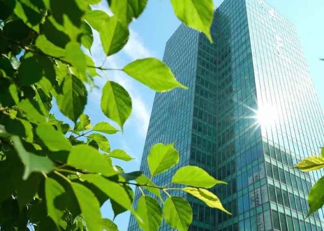Why Are Green Building Solution Becoming a Popular Choice in Urban Areas