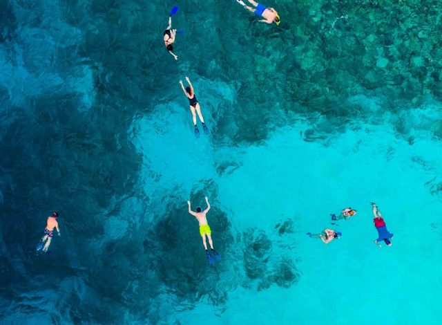 Snorkeling Menjangan Island, Jelajahi Surga Tersembunyi dengan Spot Cantik dan Menawan
