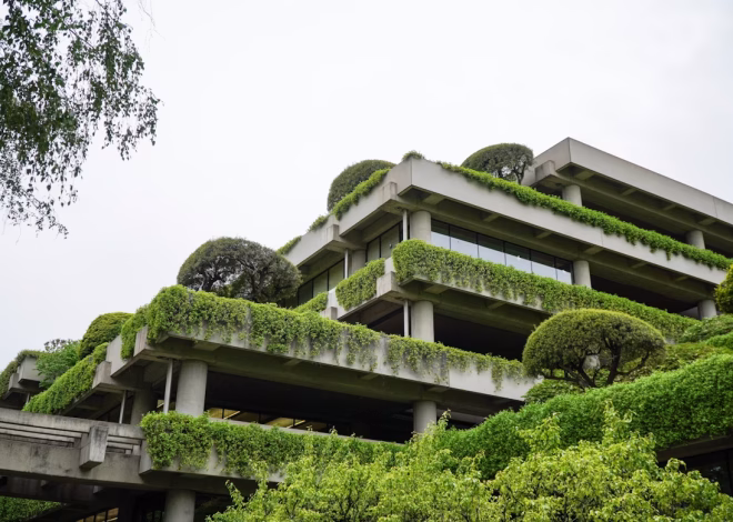 Sertifikat EDGE Standar Efisiensi Bangunan untuk Keberlanjutan Lingkungan Modern